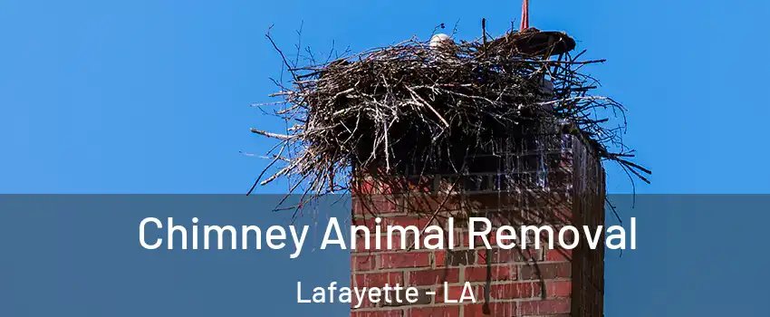  Chimney Animal Removal Lafayette - LA
