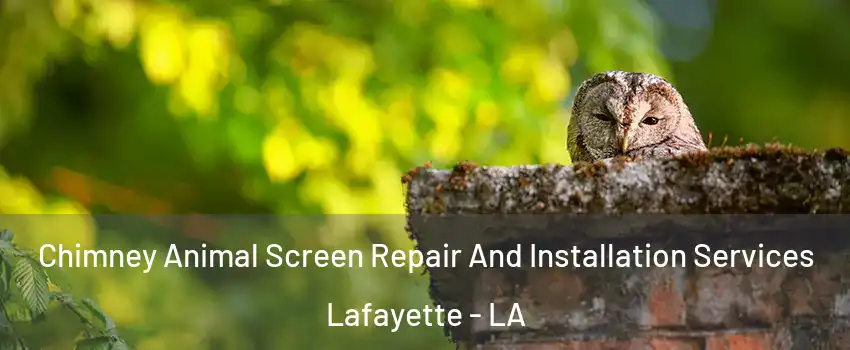  Chimney Animal Screen Repair And Installation Services Lafayette - LA