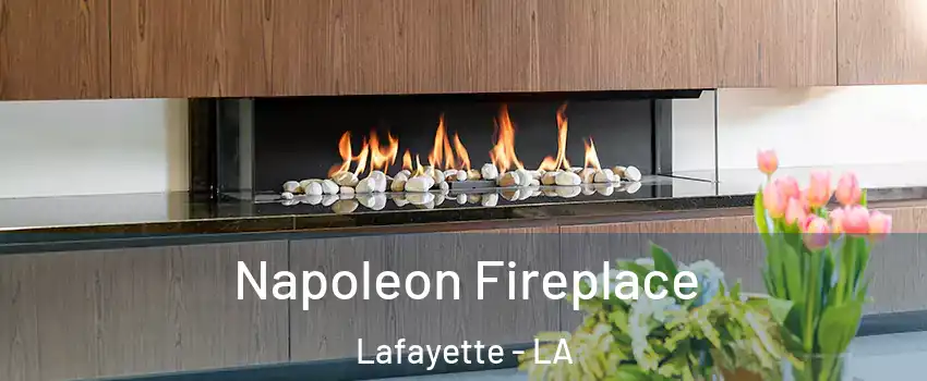  Napoleon Fireplace Lafayette - LA